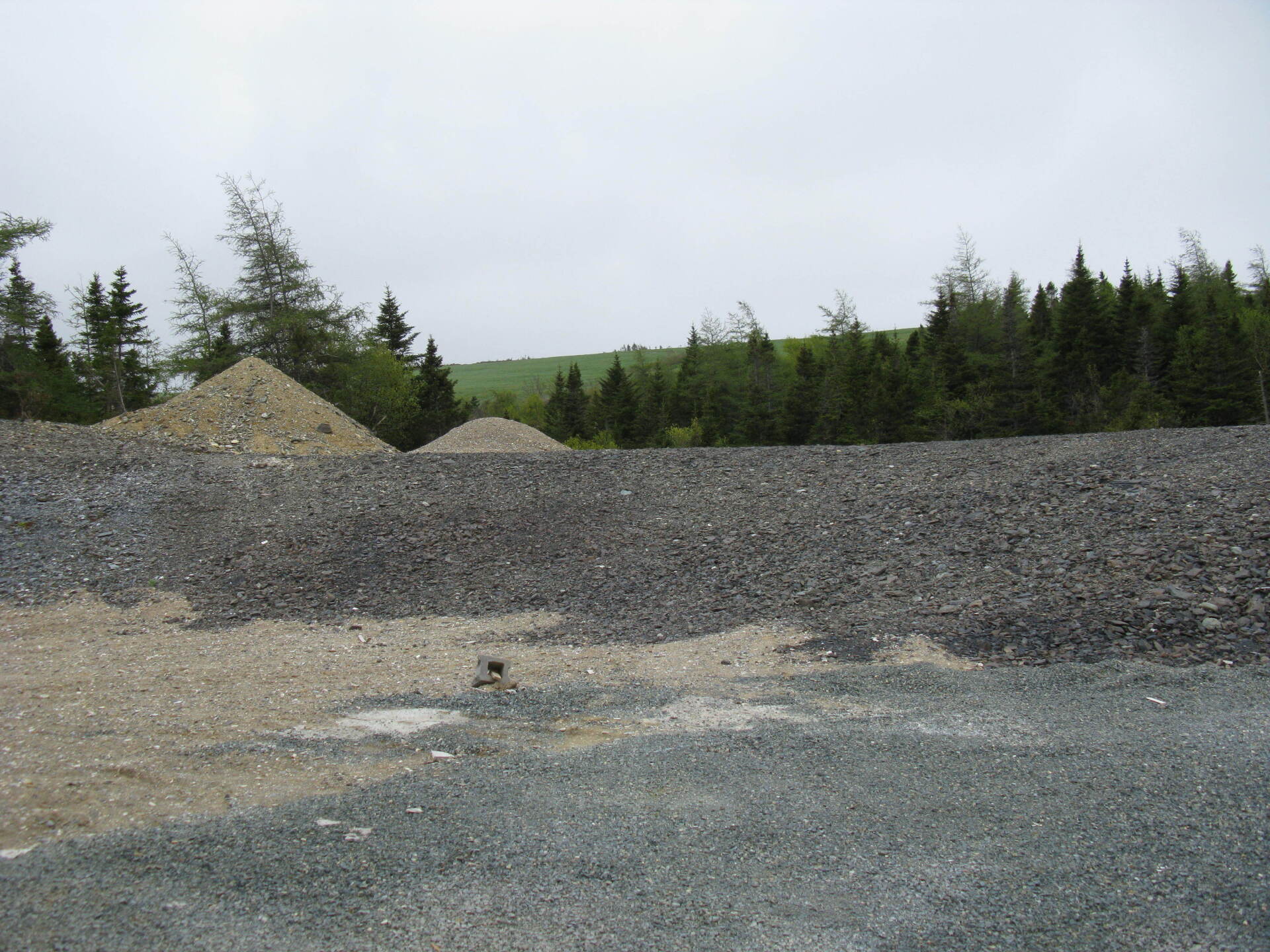 A large pile of gravel sits in the middle of a forest