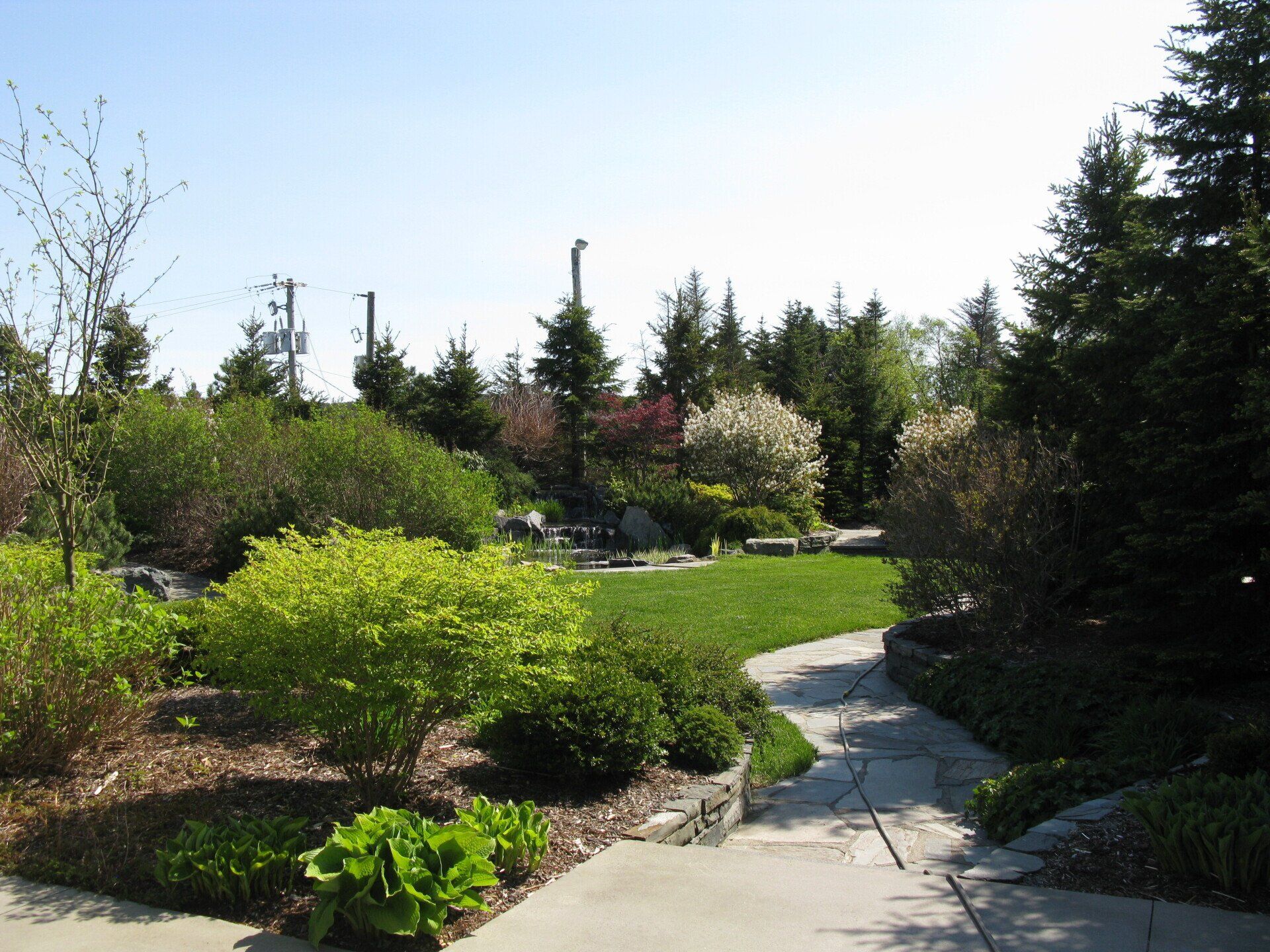 A walkway in a garden with trees and bushes