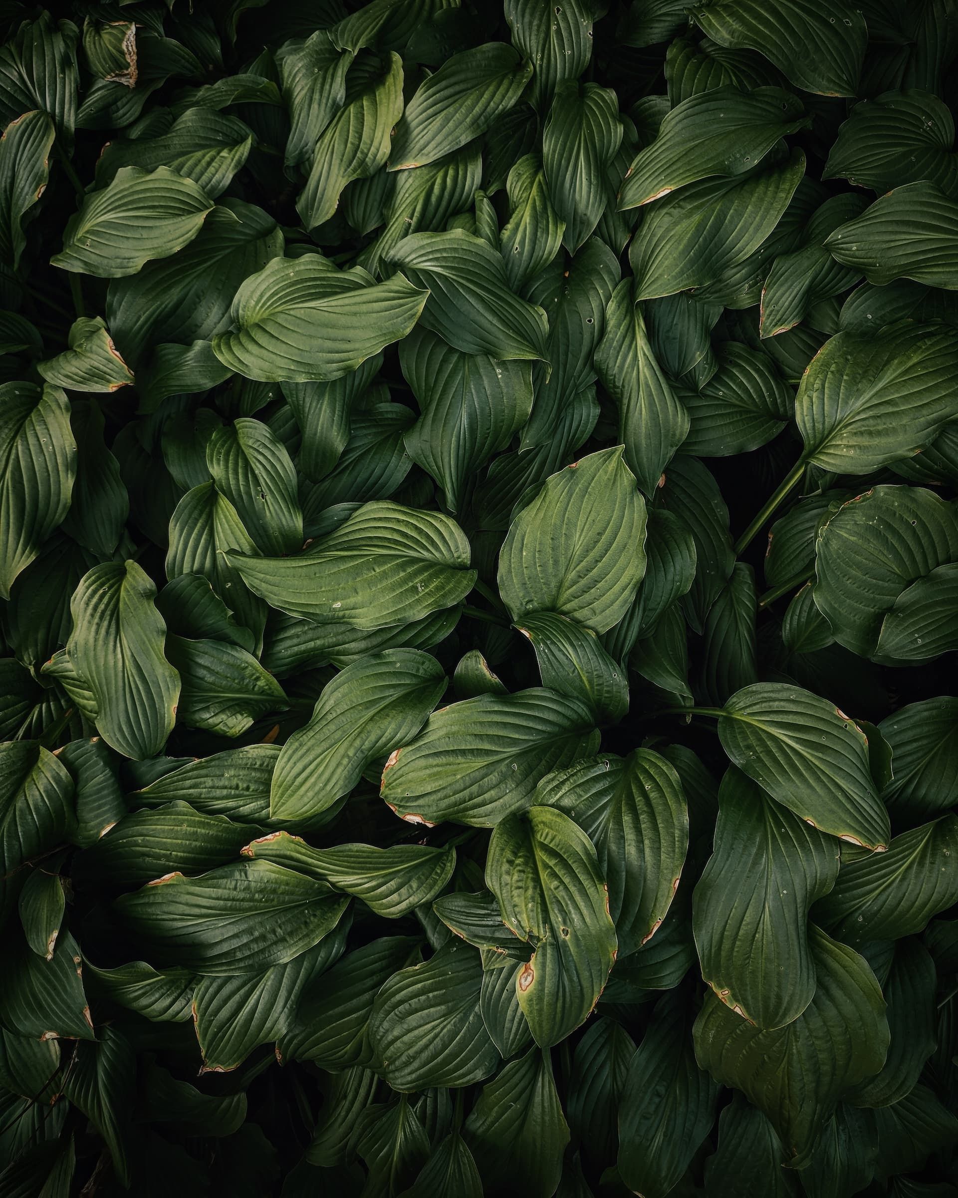 resources banner photo