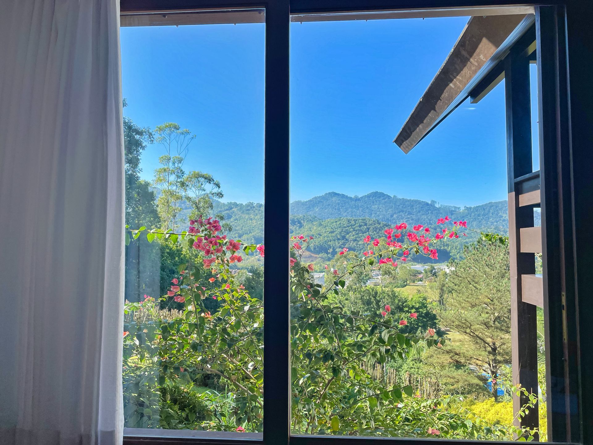 A window with a view of a garden and mountains.
