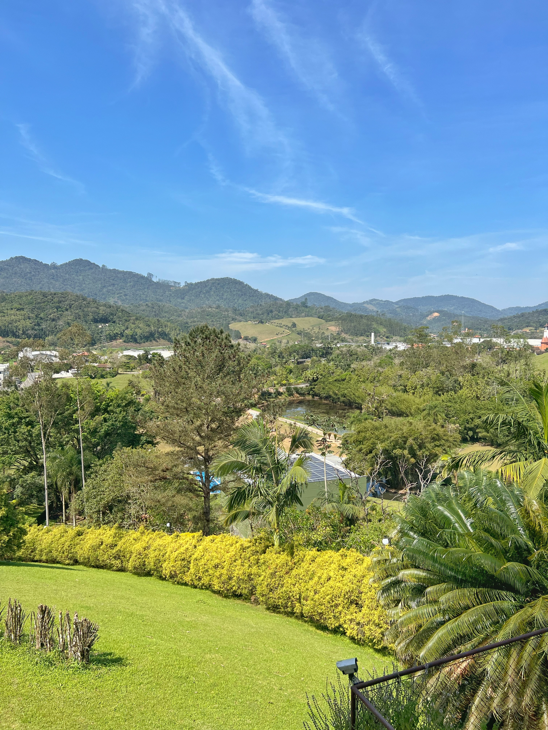 A view of a lush green field with trees and mountains in the background.