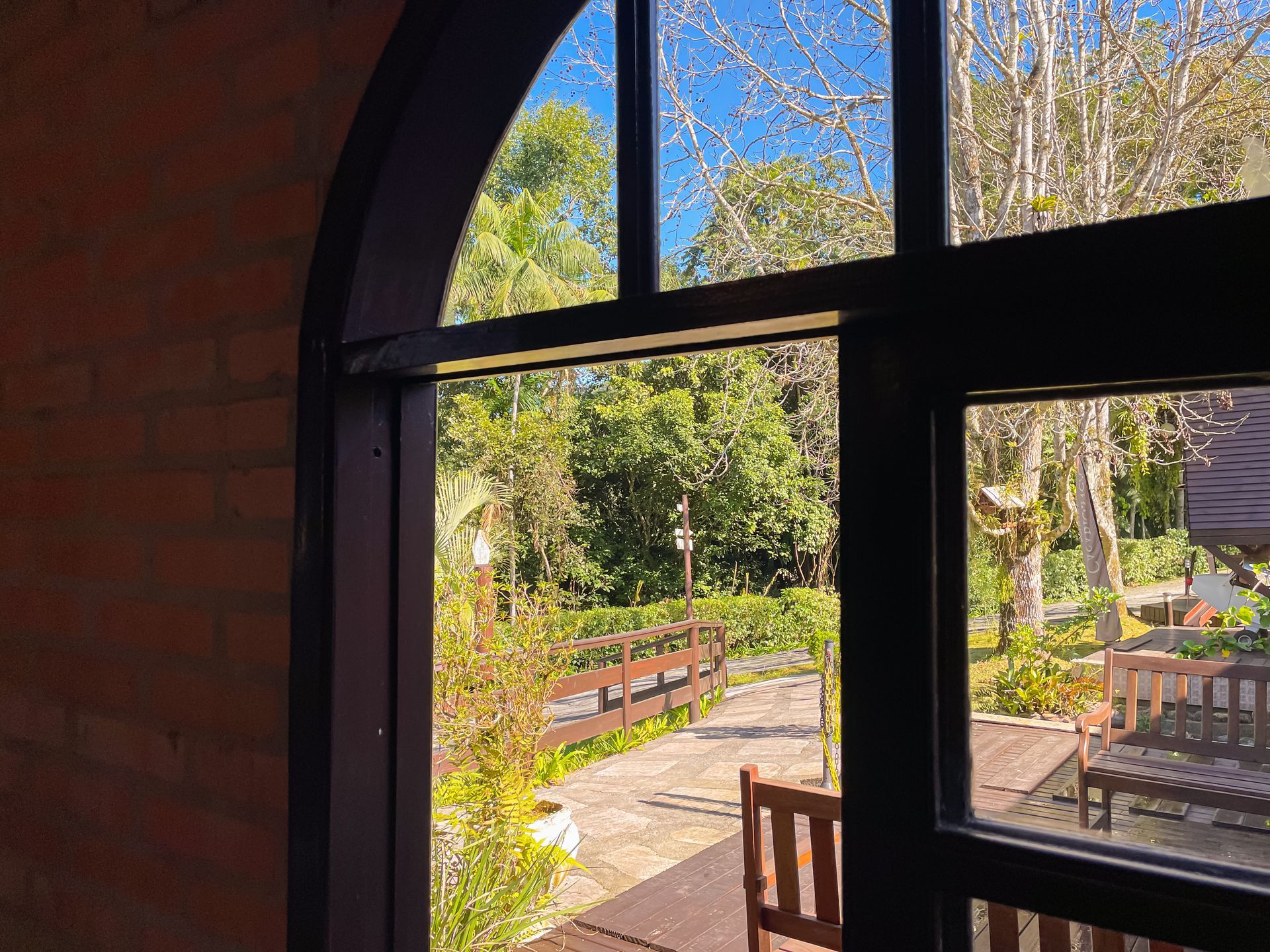 A window with a view of a park and trees.