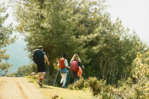 Three hikers with backpacks and trekking poles walk uphill on a dirt path, near trees.