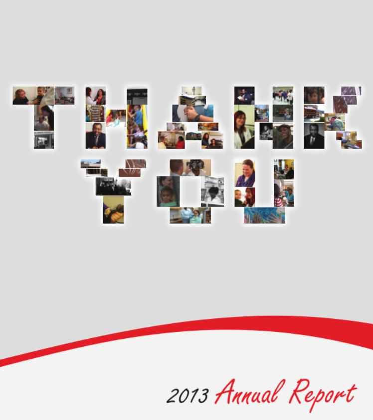 2013 Annual Report