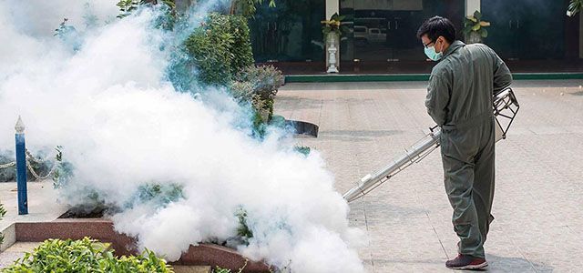 Servicios de fumigación a empresas, escuelas, restaurantes y negocios