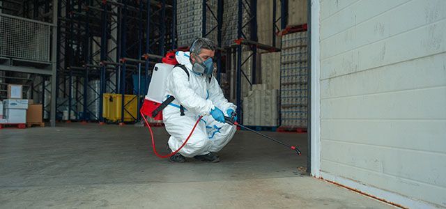 Pólizas de mantenimiento de fumigación