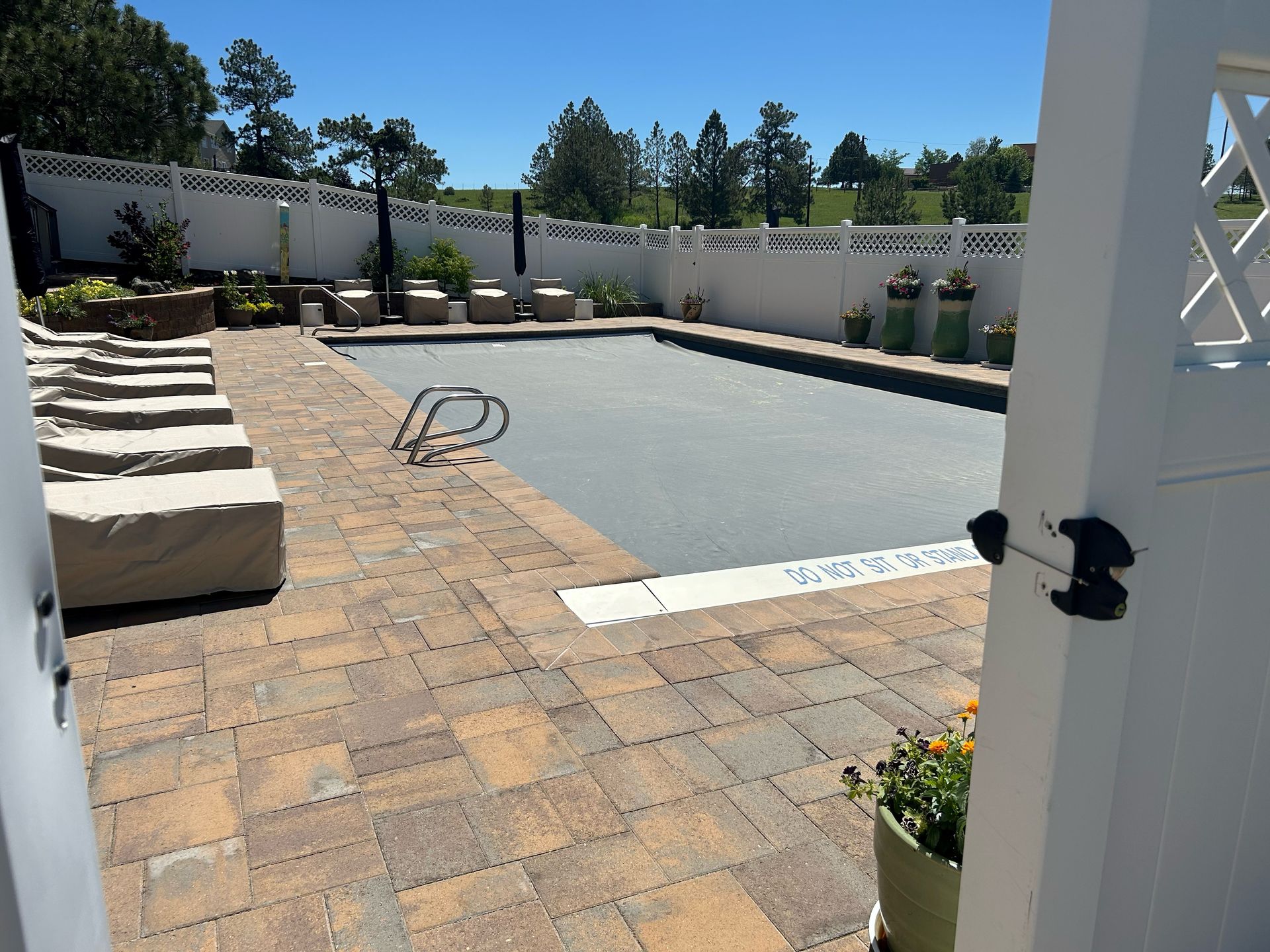 Sunny backyard patio with paver deck, swimming pool, lounge chairs, and white privacy wall