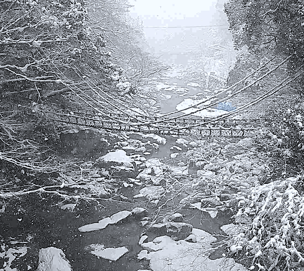 Iya Valley Kazurabashi winter snow