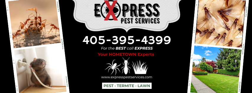 Express Pest Services