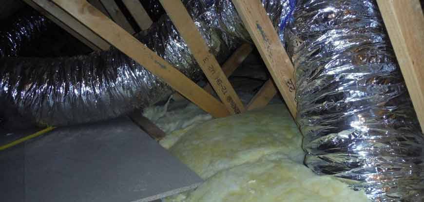 Home Inspections 100