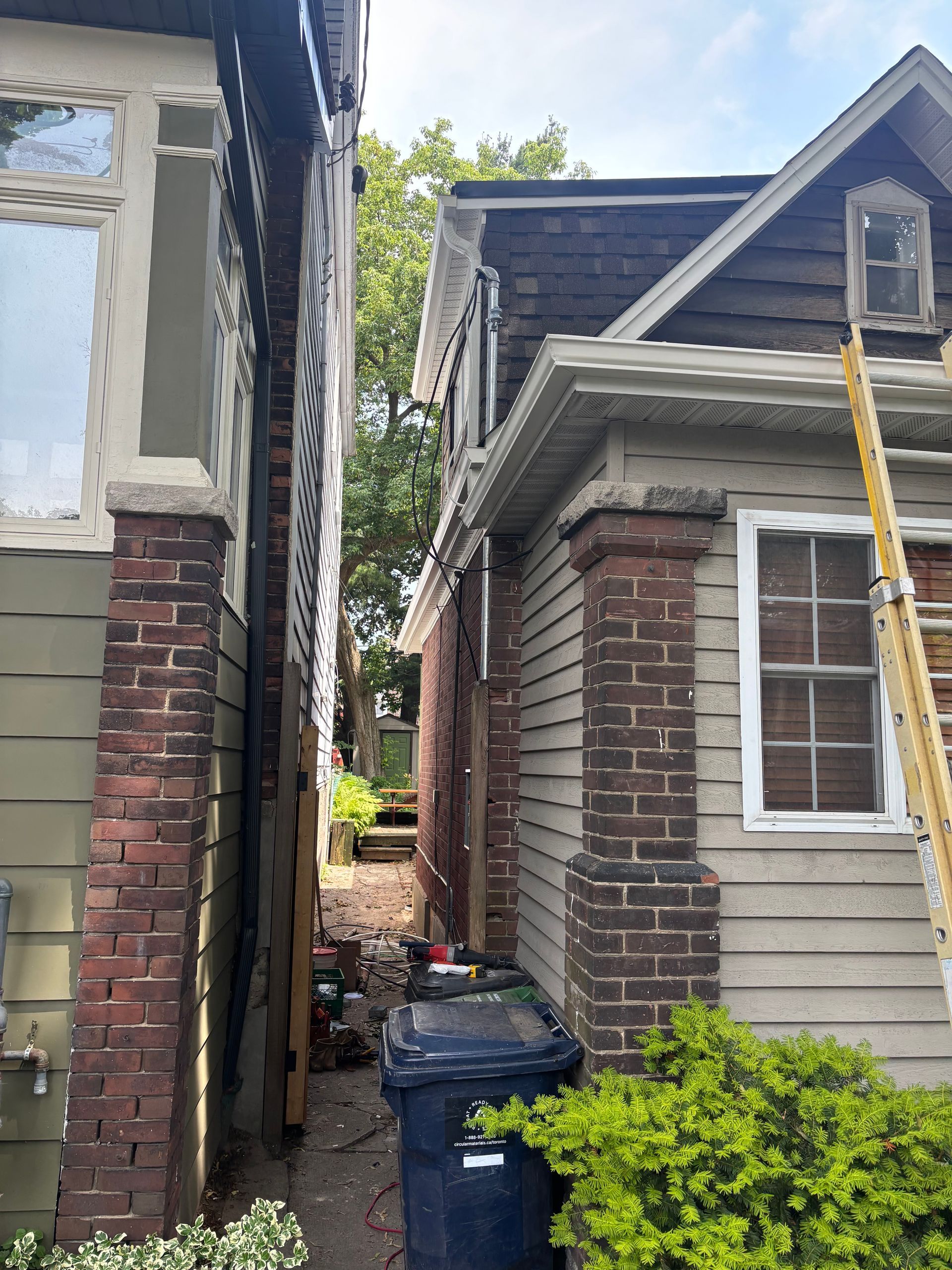 Narrow alley between two houses, with a trash bin and bright green shrub in the foreground.