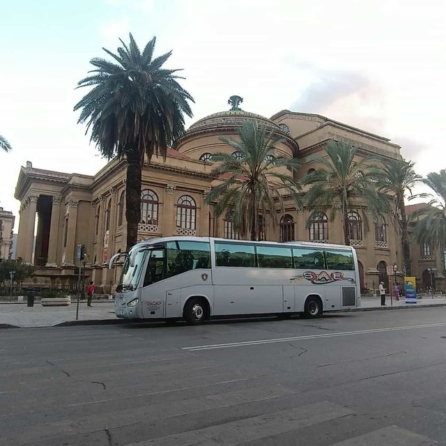 Un autobus turistico bianco parcheggiato davanti a un imponente edificio storico, con palme nelle vicinanze.