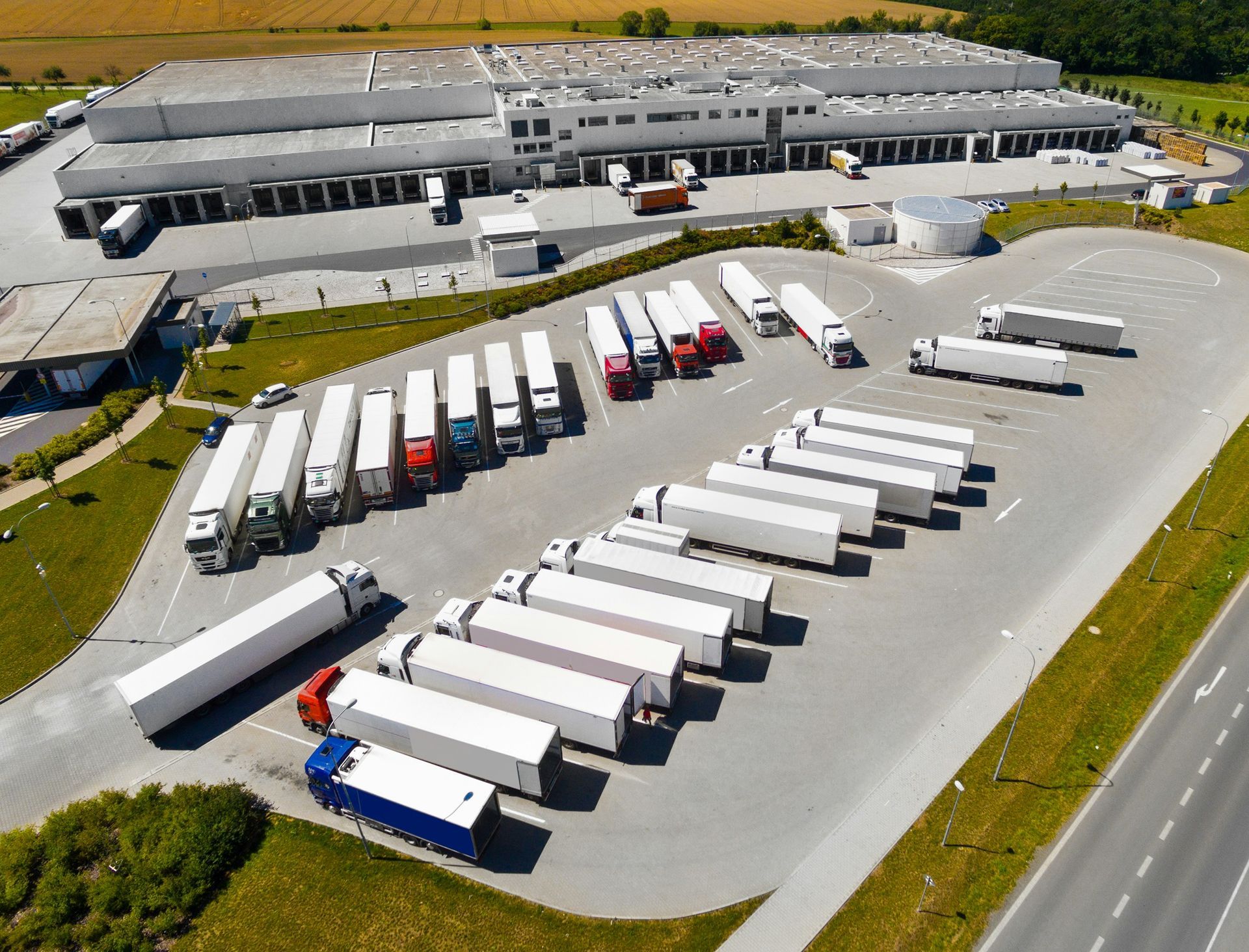 A row of white buses are parked in a field.
