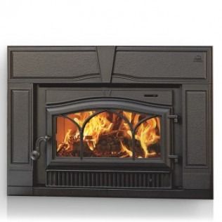 Black fireplace insert with burning logs, flames visible through arched glass door.