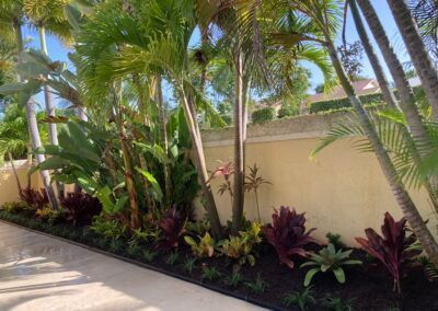 Landscape #8 — Jupiter, FL — Pura Vida Landscape