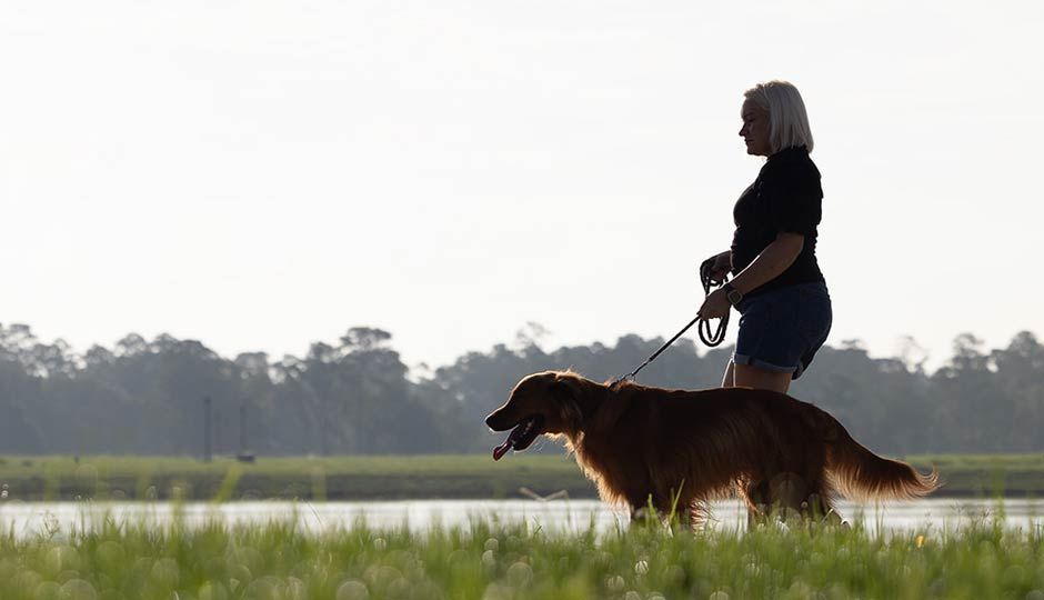 Person walking a brown dog on a leash by a lakeside at sunset