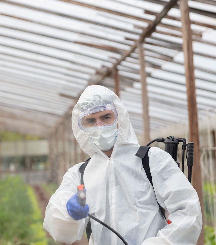 fumigación, fumigaciones, control de plagas, fumigación de cucarachas, fumigación de chinches