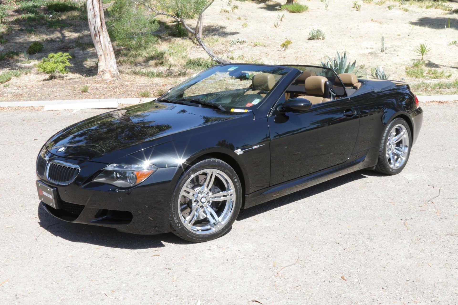 professional ceramic coating