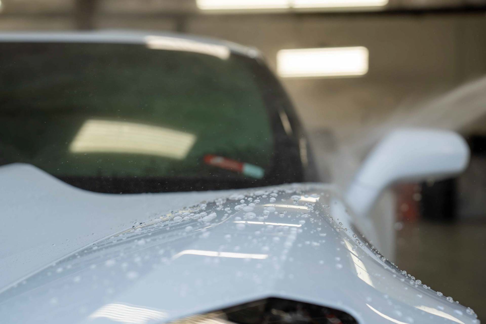 External Detailing - Wet Hood In Santee, CA