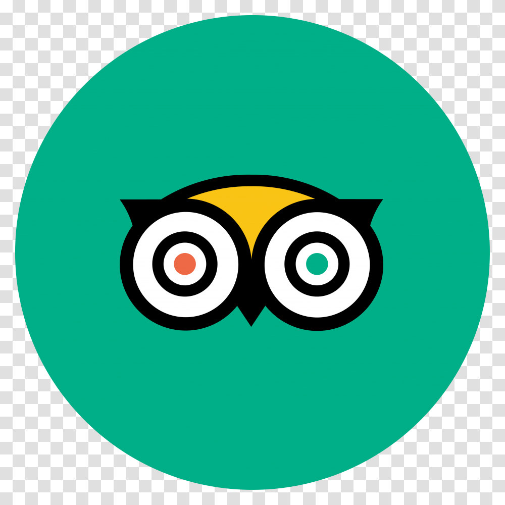 Testemunhos
