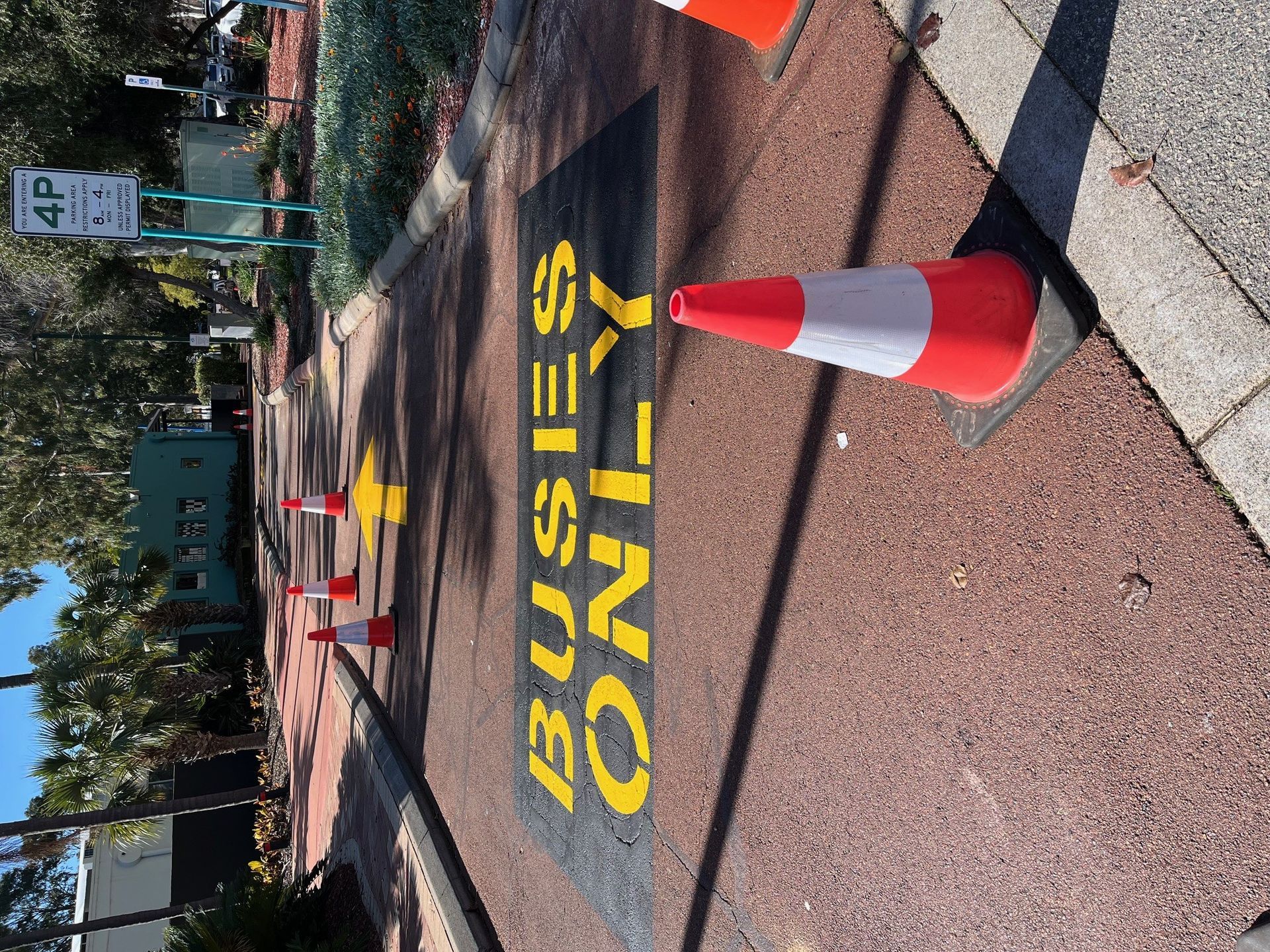 Buses Only Marking