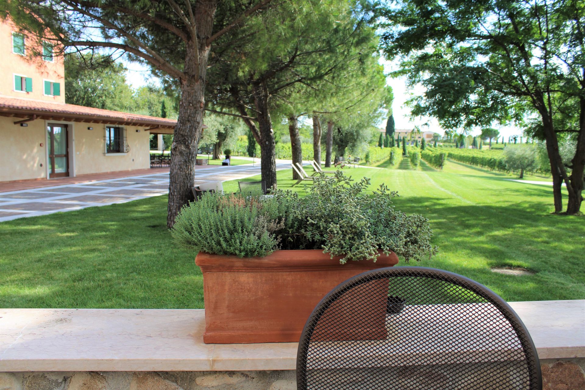 Patio con fioriera, sedia e prato verde accanto a un edificio e alberi.