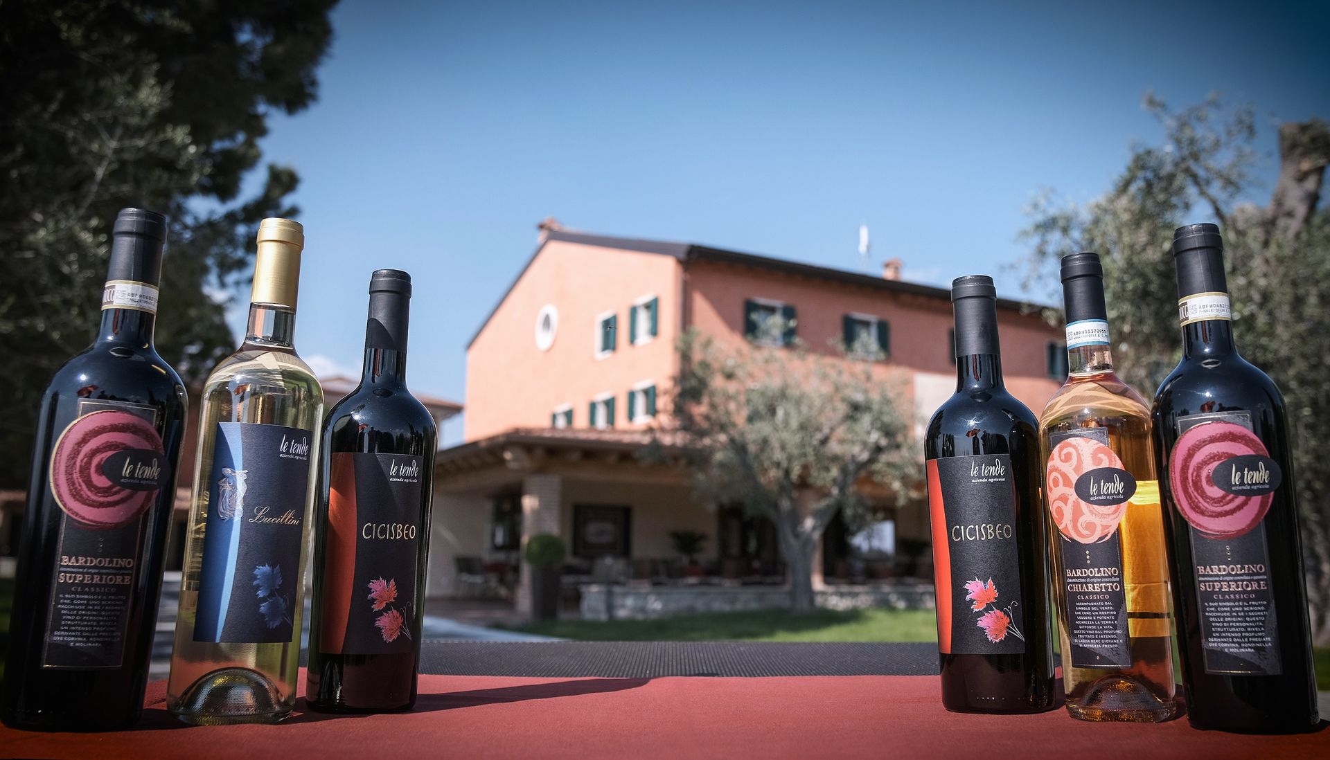 Bottiglie di vino esposte su un tavolo di fronte a un edificio di una tenuta vinicola, sotto un cielo azzurro.