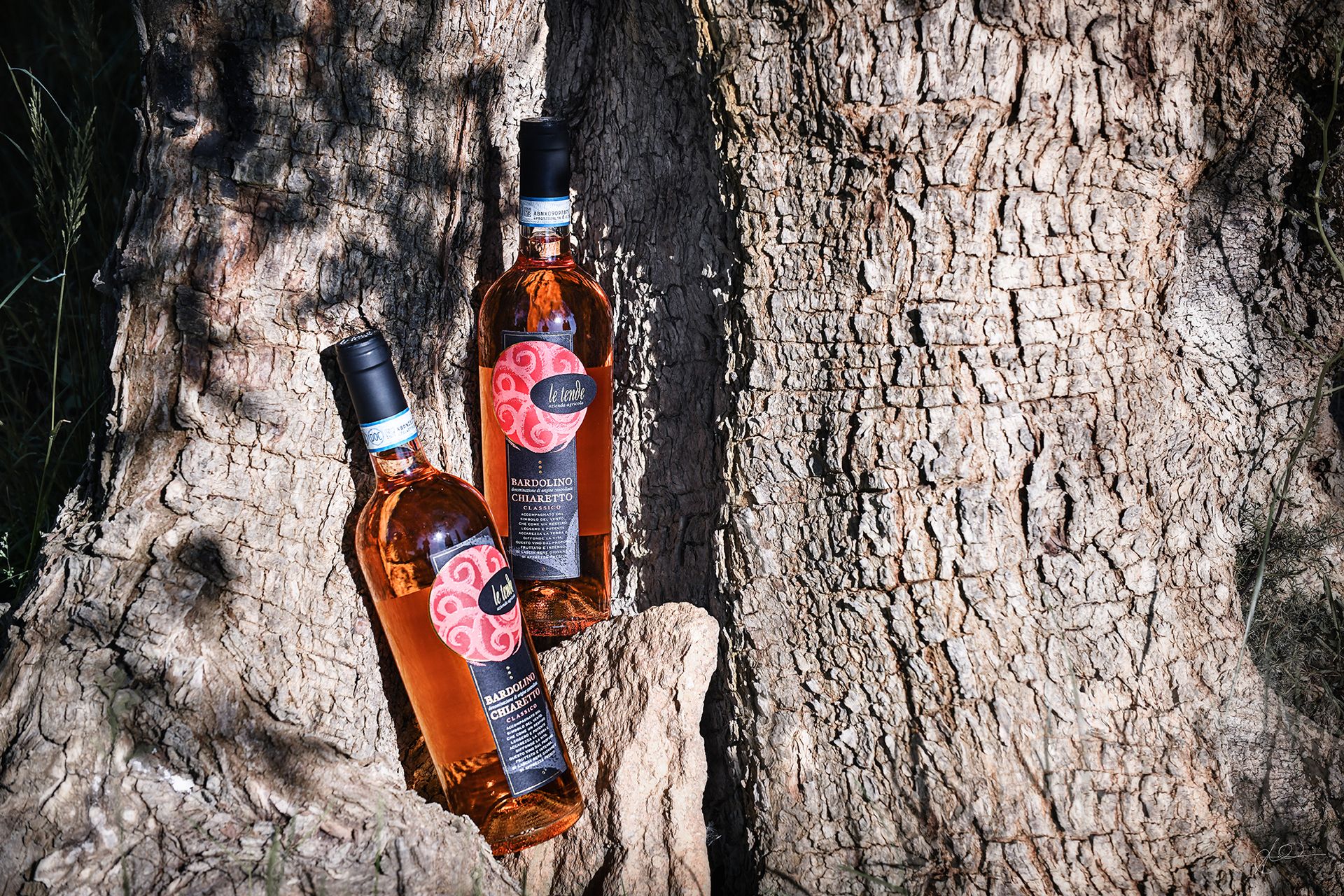 Due bottiglie di liquore color ambra con etichette rosse appoggiate al tronco e alla corteccia di un albero.
