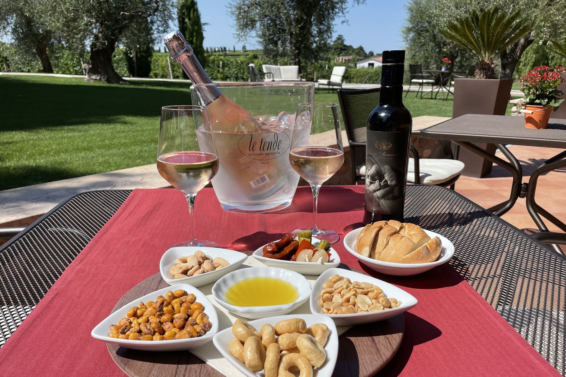 Tavolo all'aperto con antipasti, vino, una bottiglia e una tovaglia rosa in un giardino soleggiato.