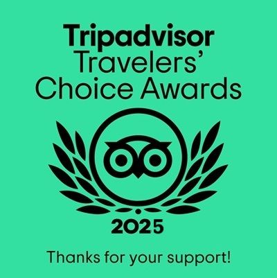 Distintivo dei Tripadvisor Travelers' Choice Awards 2025 su sfondo verde con la scritta 