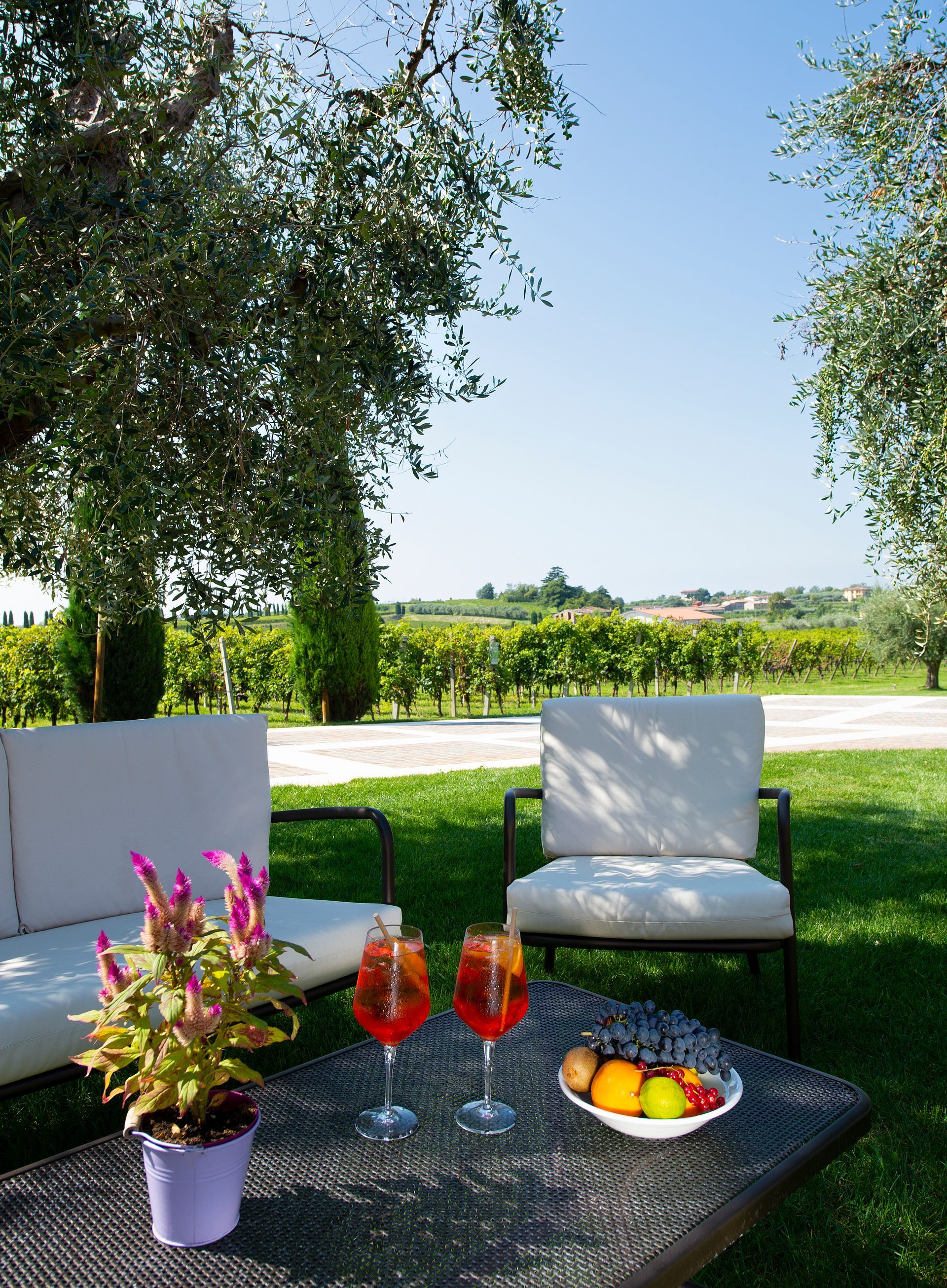 Patio seating with white chairs, drinks, and fruit on a table overlooking a sunny green lawn and fields
