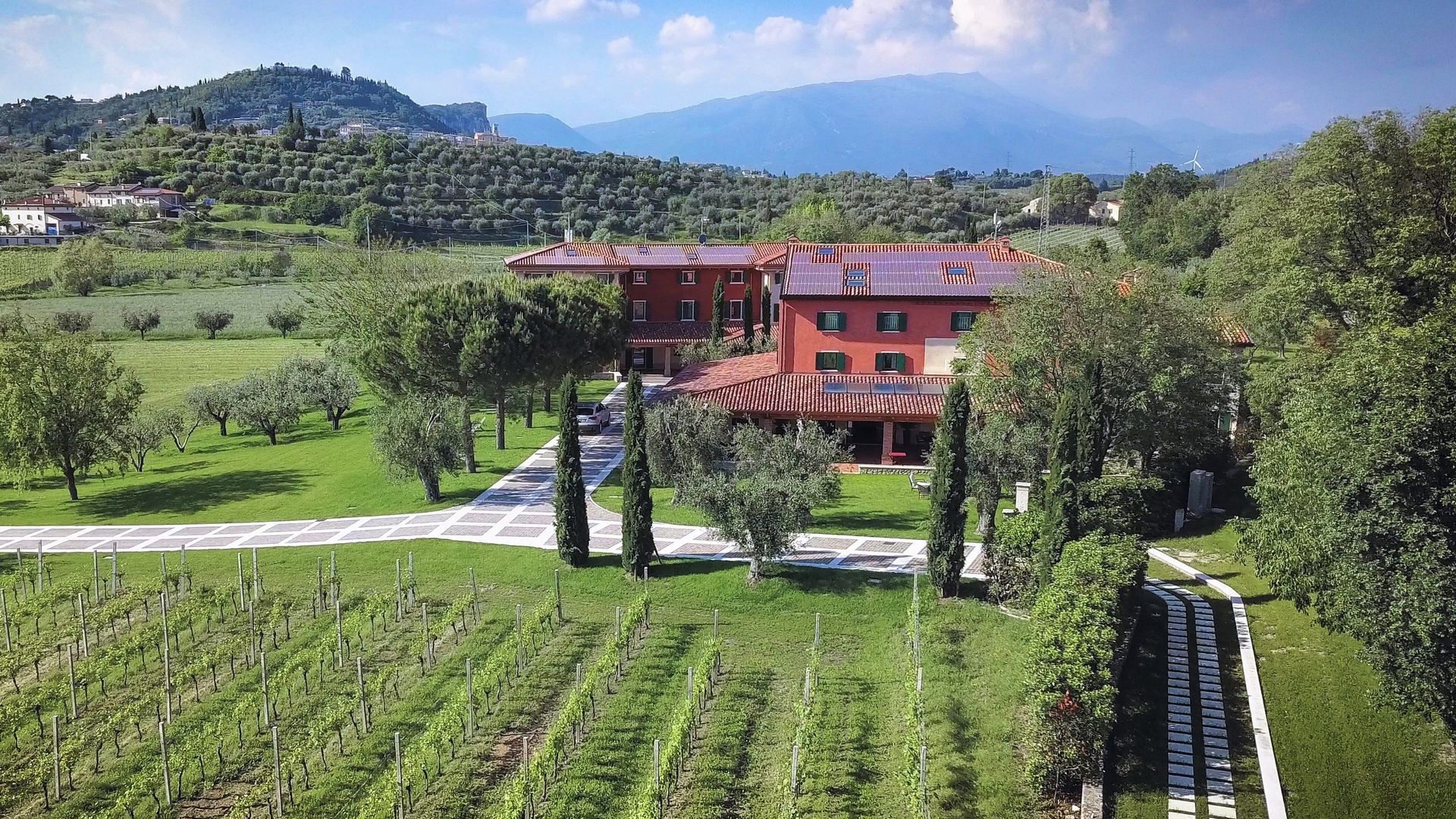 Vineyard rows leading to a red-roofed building in a green valley with hills and mountains beyond