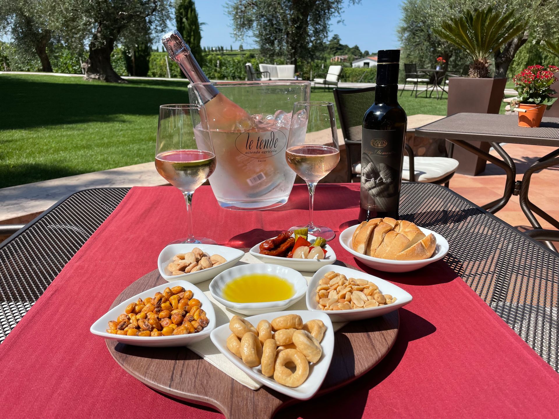 Outdoor table with wine, a bottle, and assorted appetizers on a red runner in a sunny garden