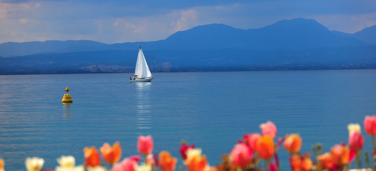 Barca a vela su un tranquillo lago blu con boa gialla e fiori rossi sfocati in primo piano, montagne sullo sfondo.