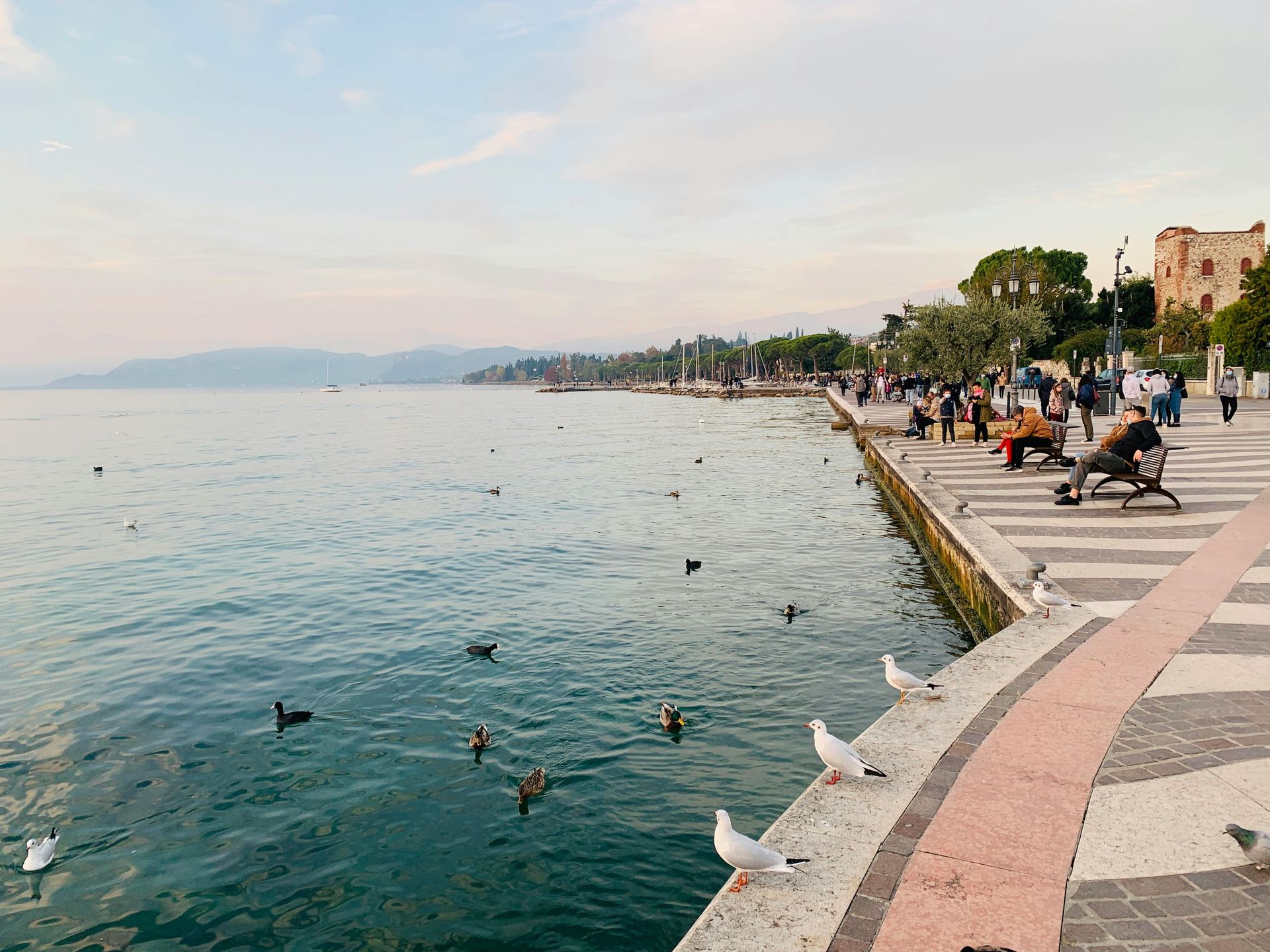 Lazise