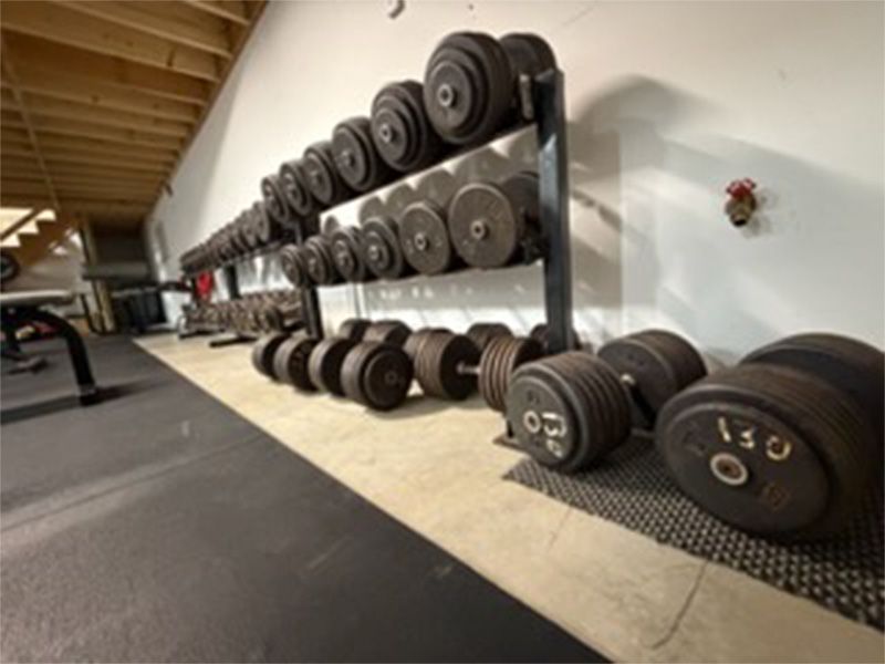 Gym wall lined with stacked dumbbells and weight plates on shelves and the floor.