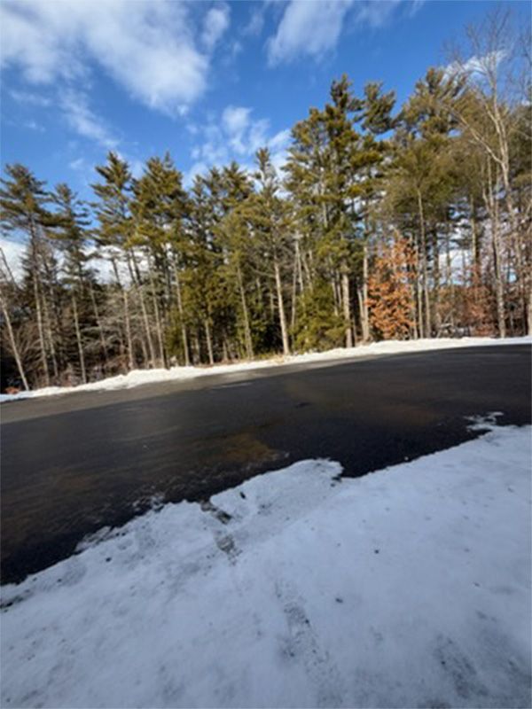 Snowy roadside beside a dark cleared pavement, with bare and evergreen trees under a blue sky.