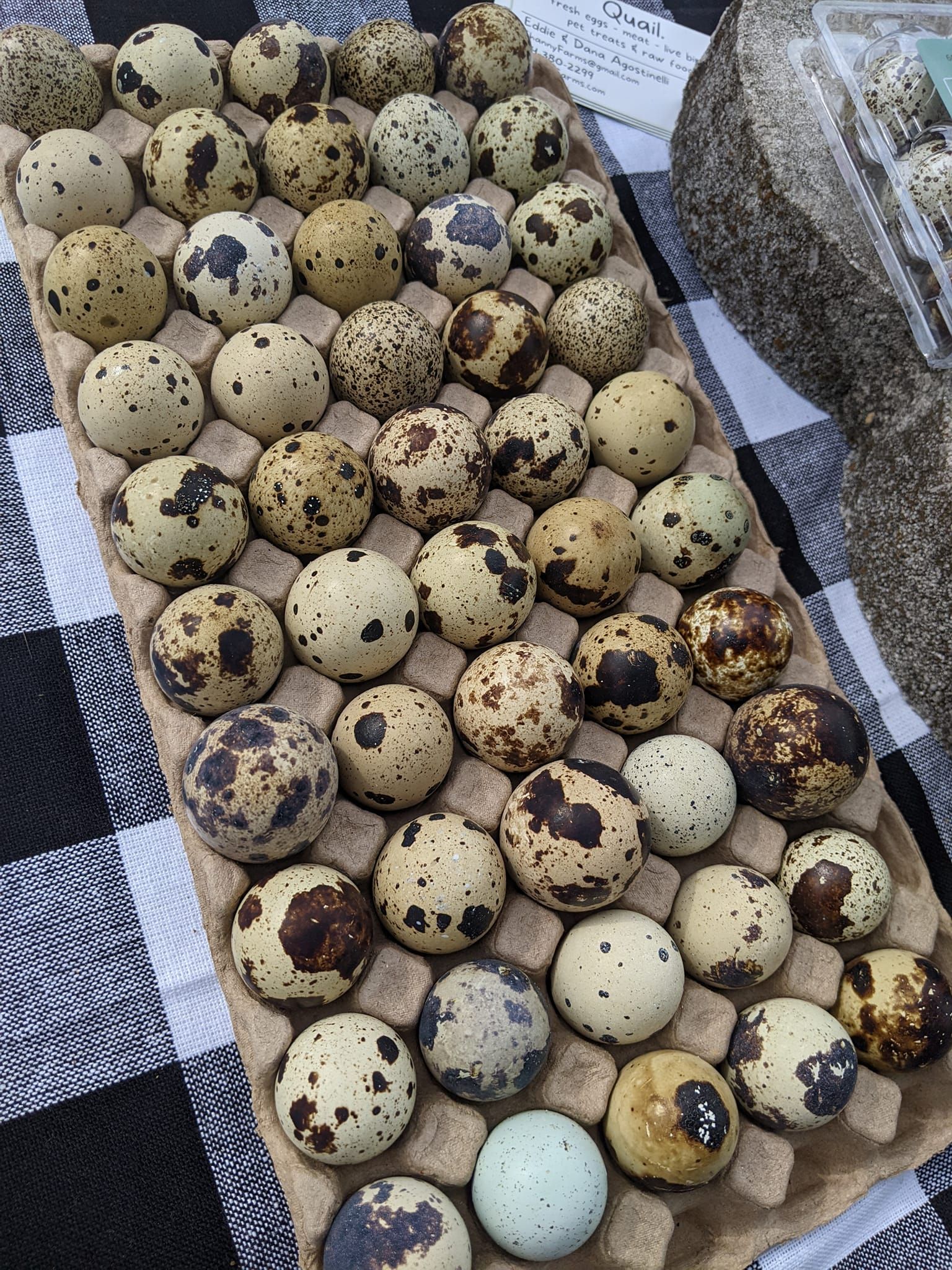 A bunch of quail eggs are sitting on top of each other on a table.
