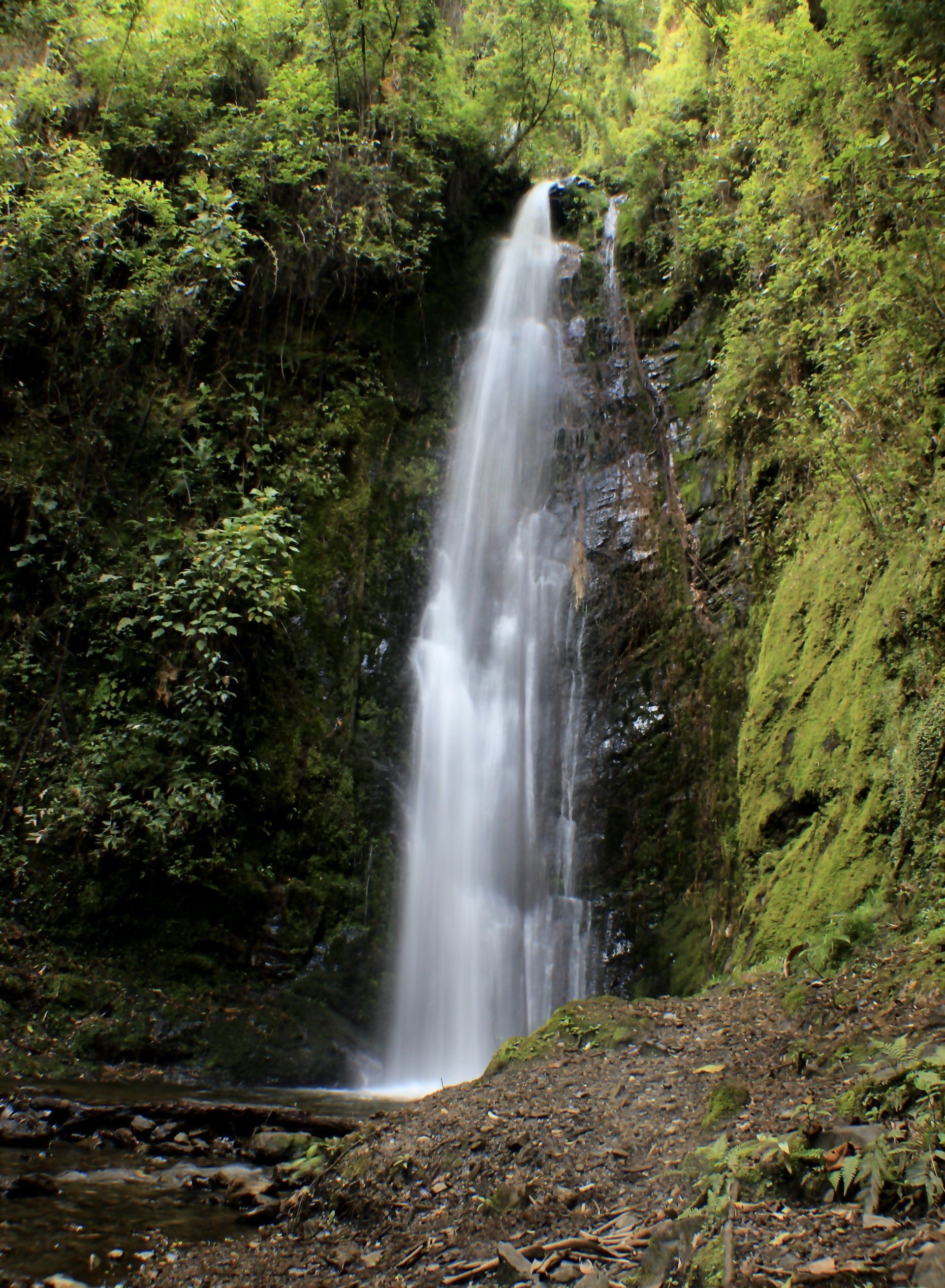 Naturaleza, Agua