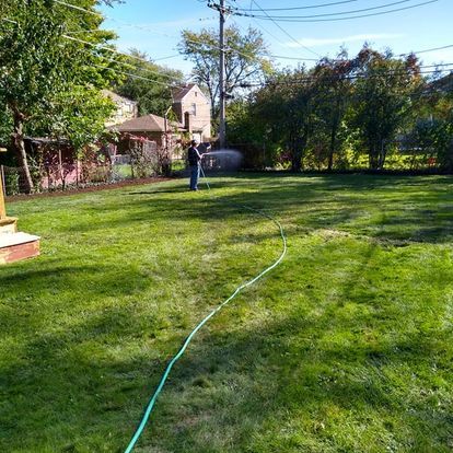 A man is watering a lush green lawn with a hose.