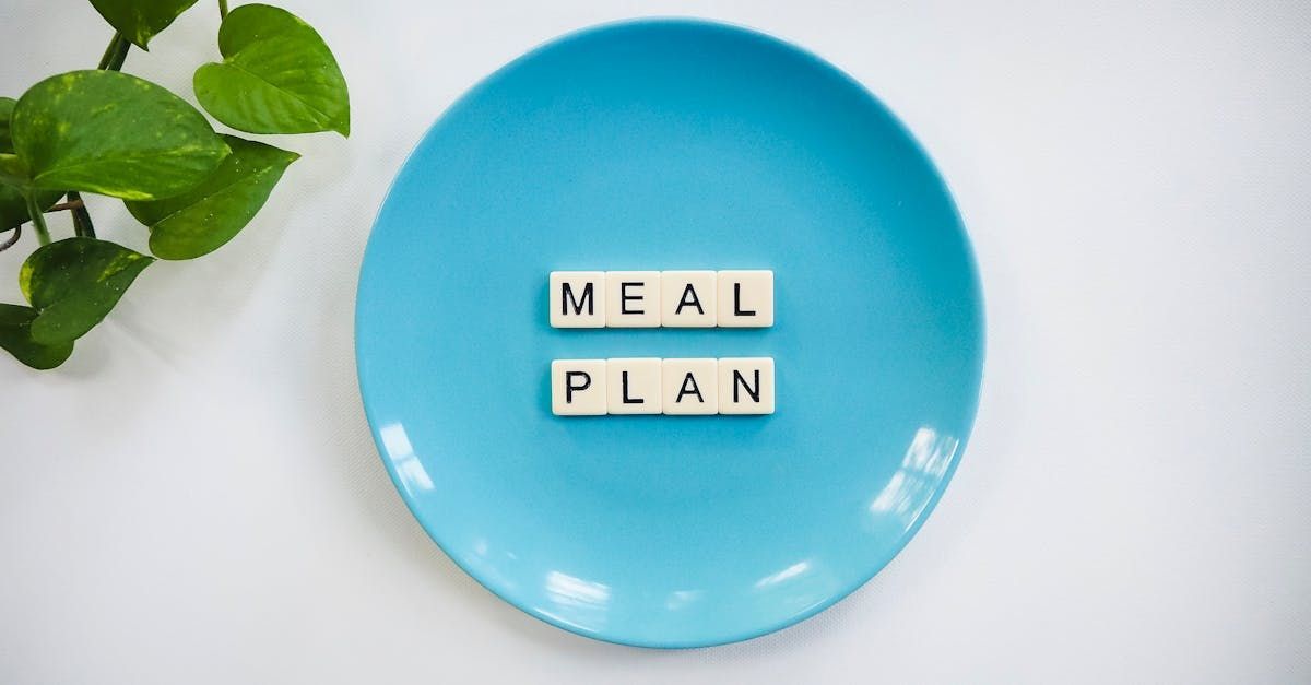 Individualized 15 week  Meal Plan