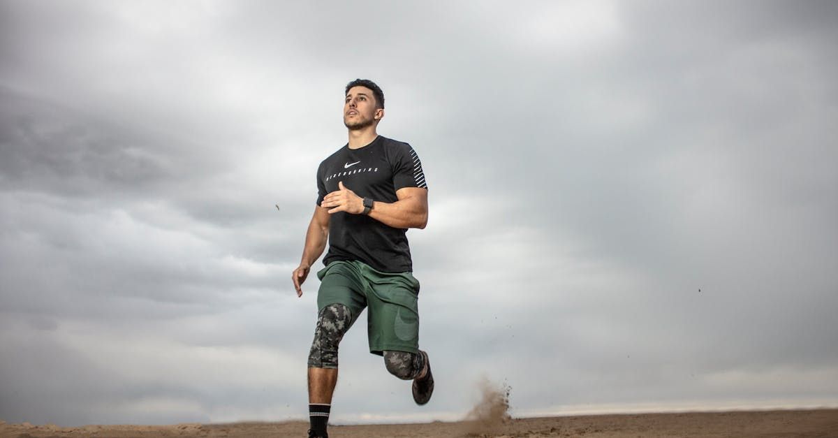 Workout Plans and Meal Plans