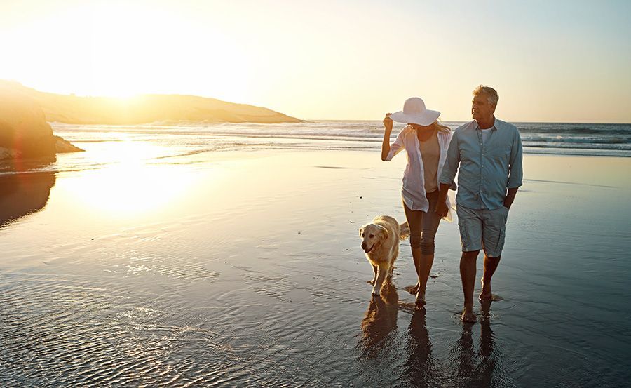 Couple holding hands, walking on beach at sunset with a dog.