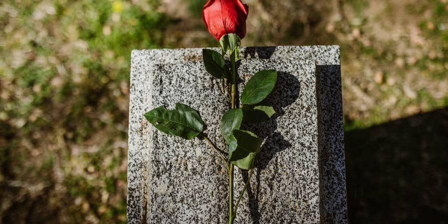 Single red rose placed on a granite gravestone to honor a loved one at a memorial site