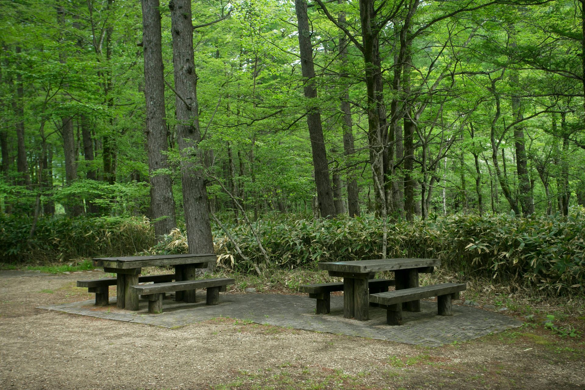 wooden tables in a park in New Bedford, MA