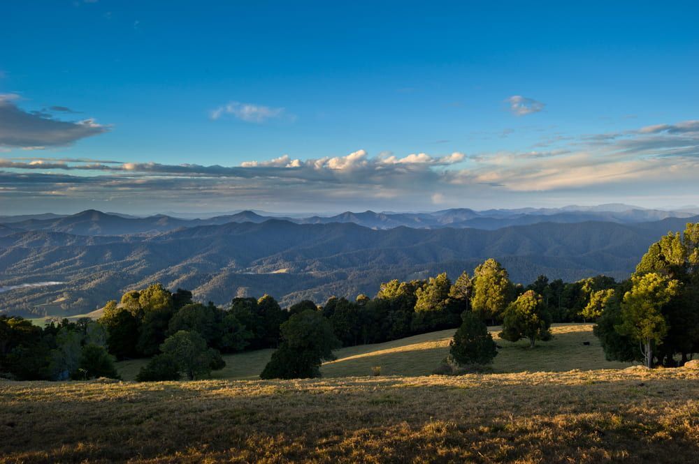 A View of A Valley with Mountains in The Background and Trees in The Foreground — Custom Cabinetry & Kitchen Renovations in Bellingen, NSW