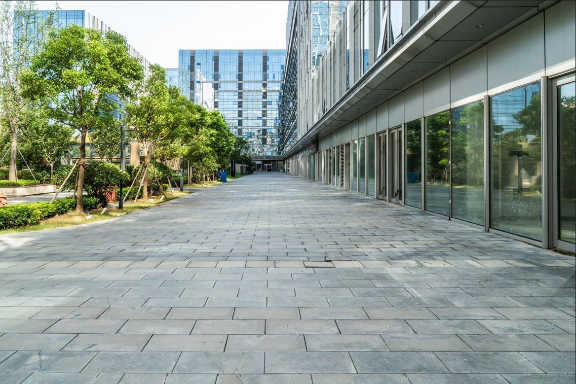 A paved walkway between a modern glass office building and a row of trees on a sunny day.