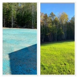 a before and after picture of a field with trees in the background .