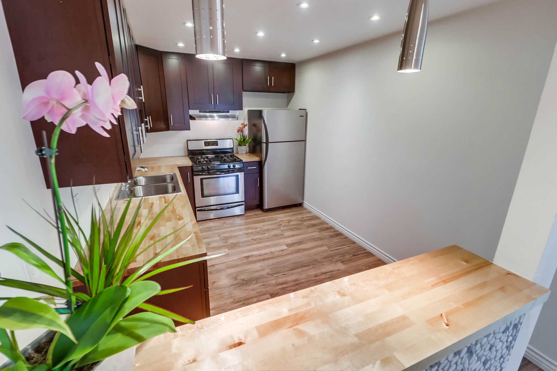 937 Opal Kitchen