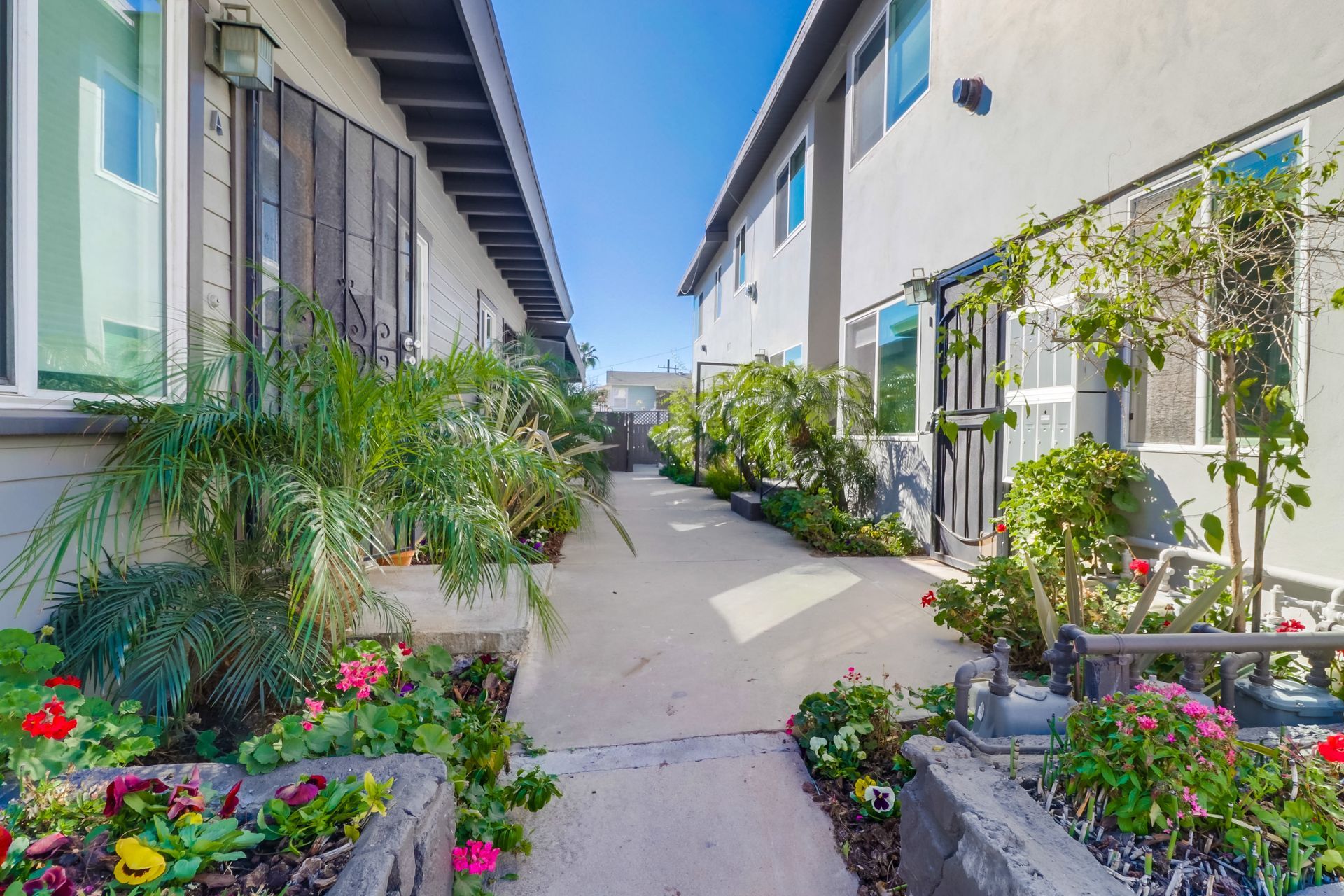 bayard courtyard